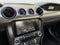 2015 Ford Mustang GT 50 Years Limited Edition