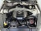 2015 Ford Mustang GT 50 Years Limited Edition