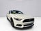 2015 Ford Mustang GT 50 Years Limited Edition